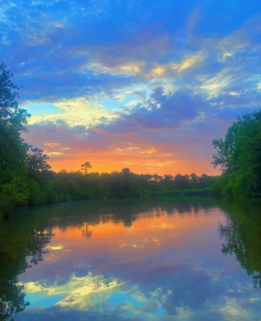 North Spoon - Bainbridge, Georgia, 39819