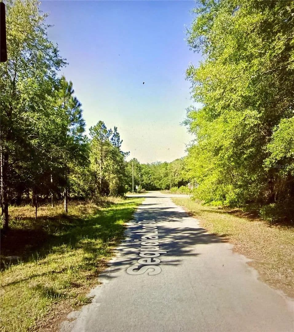 Property from Lot 39 SE SEQUOIA LOOP DRIVE - KW - Ocklawaha, Florida, 32179