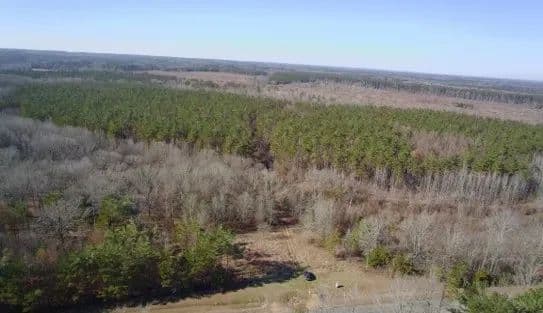 88 Acres in Oktibbeha County in Pheba, MS