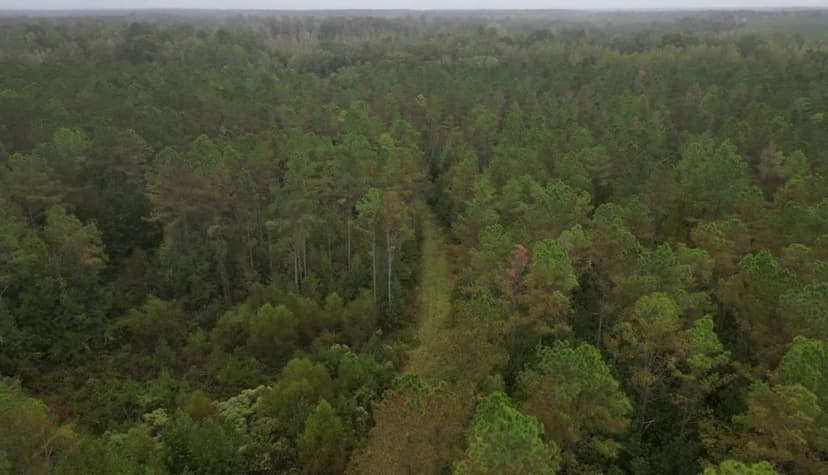 88 Acres in Oktibbeha County in Pheba, MS