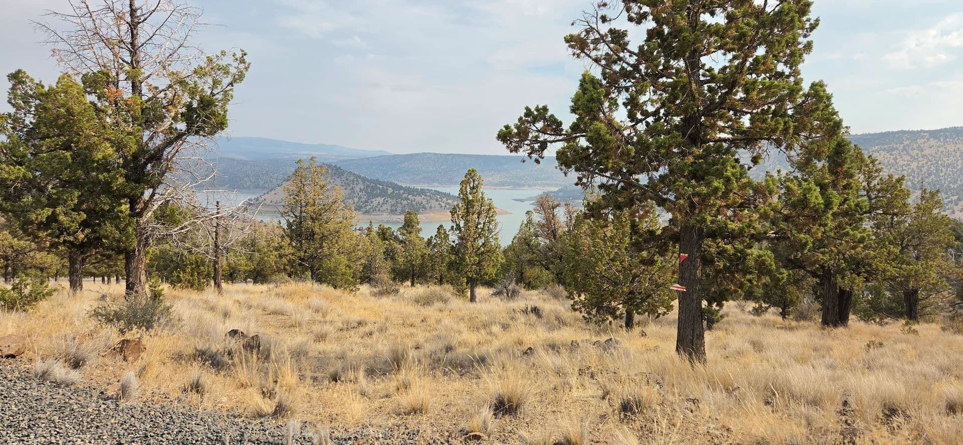 Land -Single Family Acreage in Prineville - Prineville, Oregon, 97754