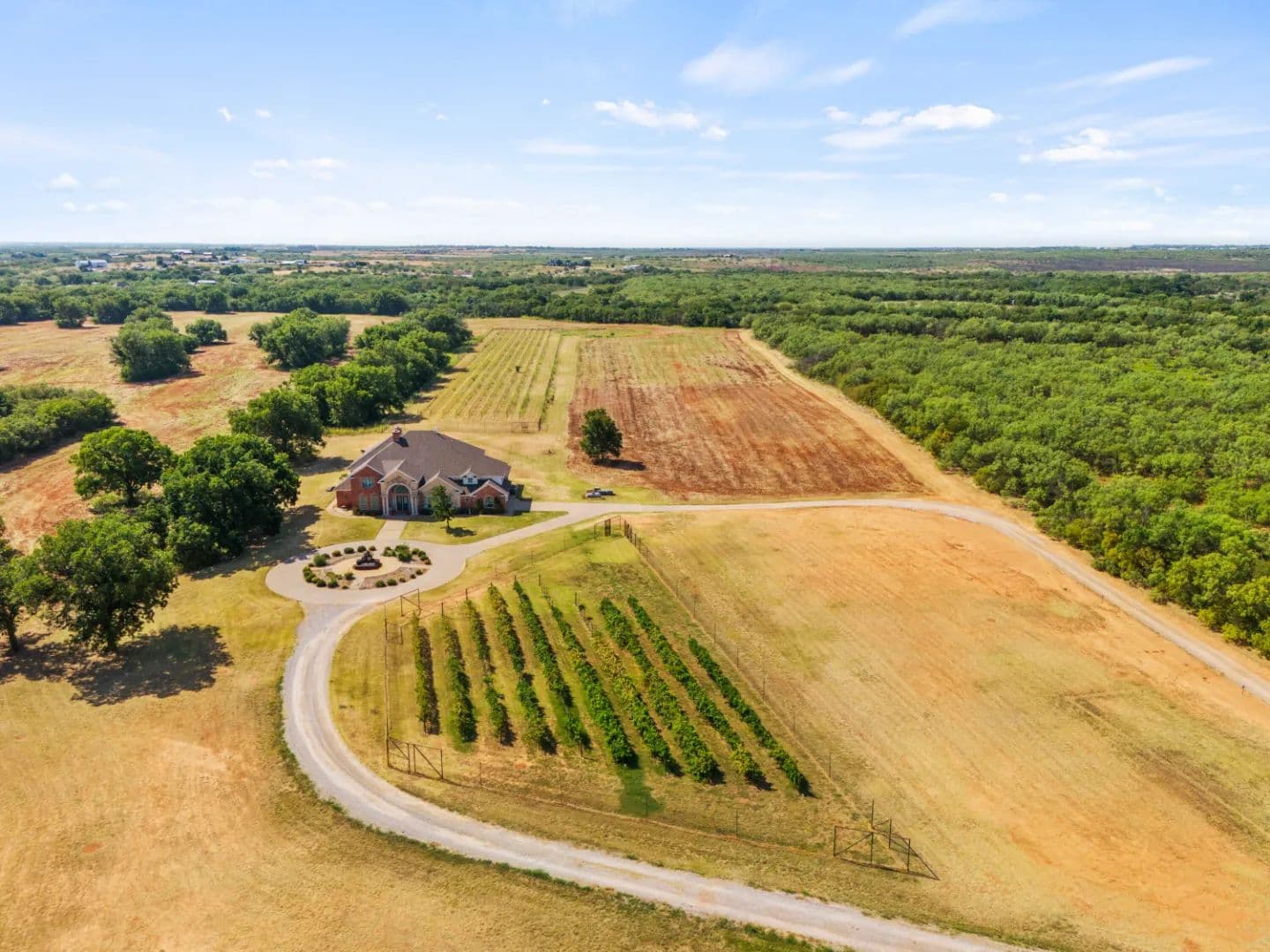 Horseshoe Bend Cellars Vineyard & Winery — Where Texas Wine Meets 74 Acres of Beauty - Iowa Park, Texas, 76376