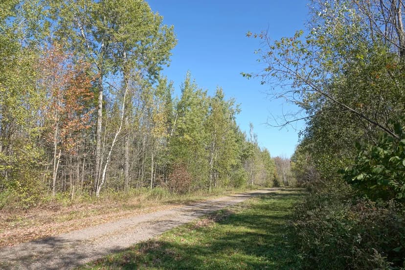 Land -Agricultural (Not Zoned) in Medford