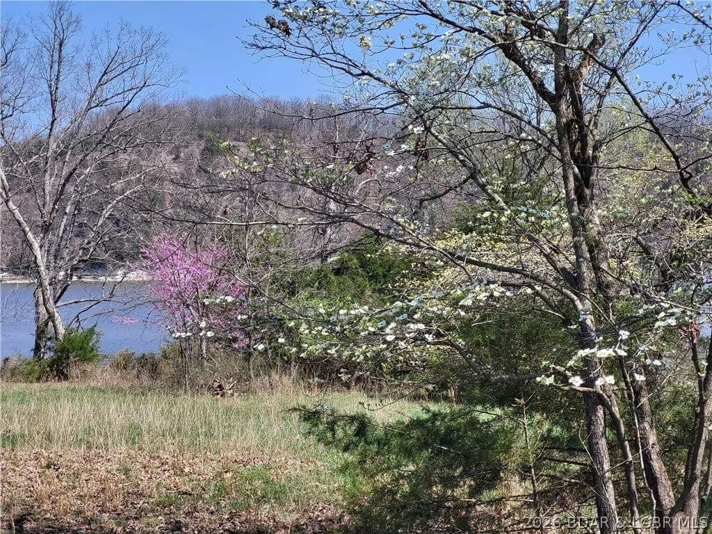 Lots & Land-Other in Edwards - Edwards, Missouri, 65326