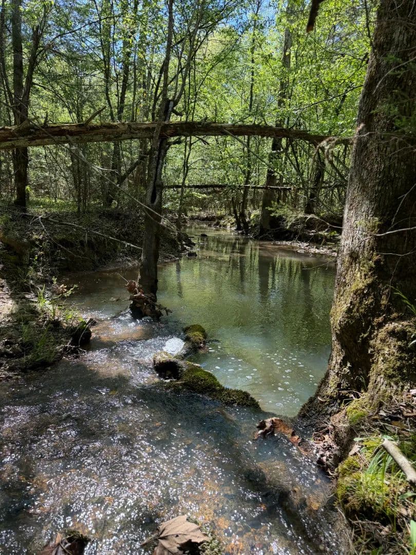 26.58 Acres in Sevier County, AR 