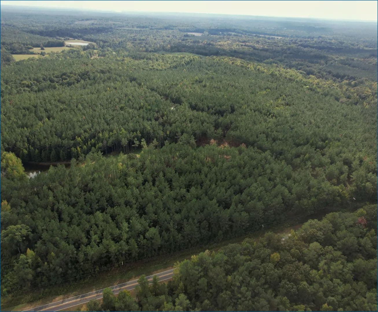 69 Acres in Webster County in Eupora, MS - land for sale
