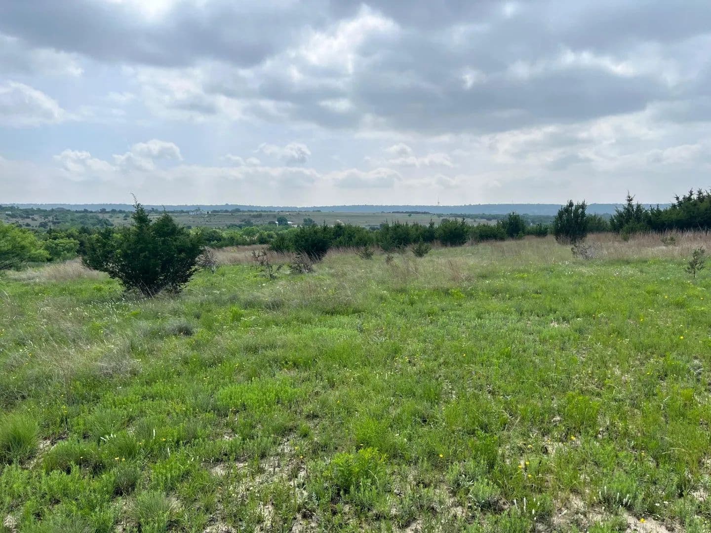 Vacant Land in Kempner - Kempner, Texas, 76539