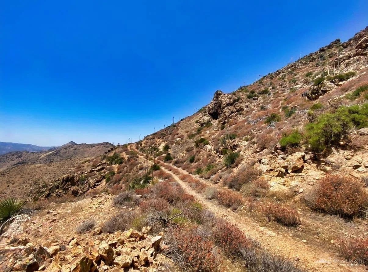 80 Acres of Land for Sale in Caliente, CA - Caliente, California, 93518