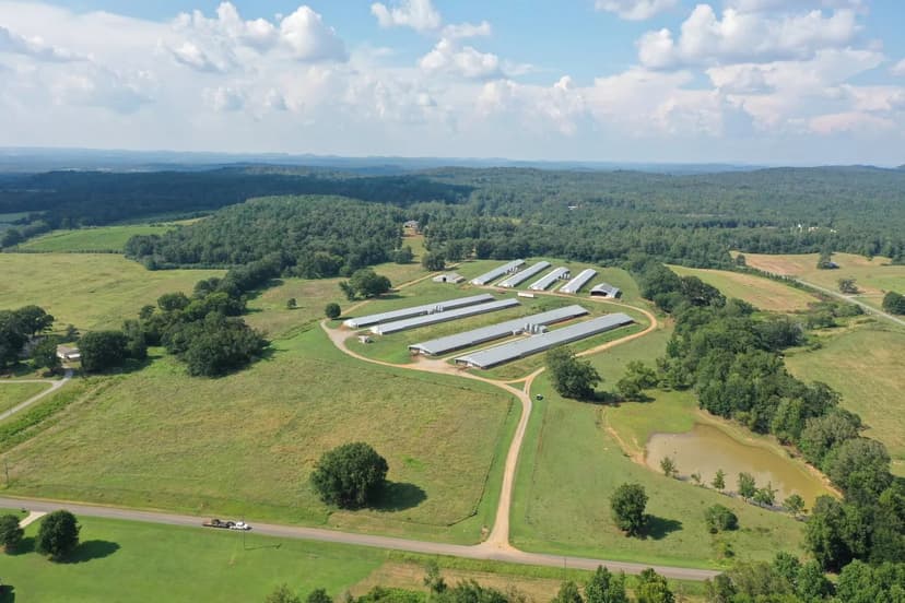 PRICE REDUCED - JSN Broiler Farm