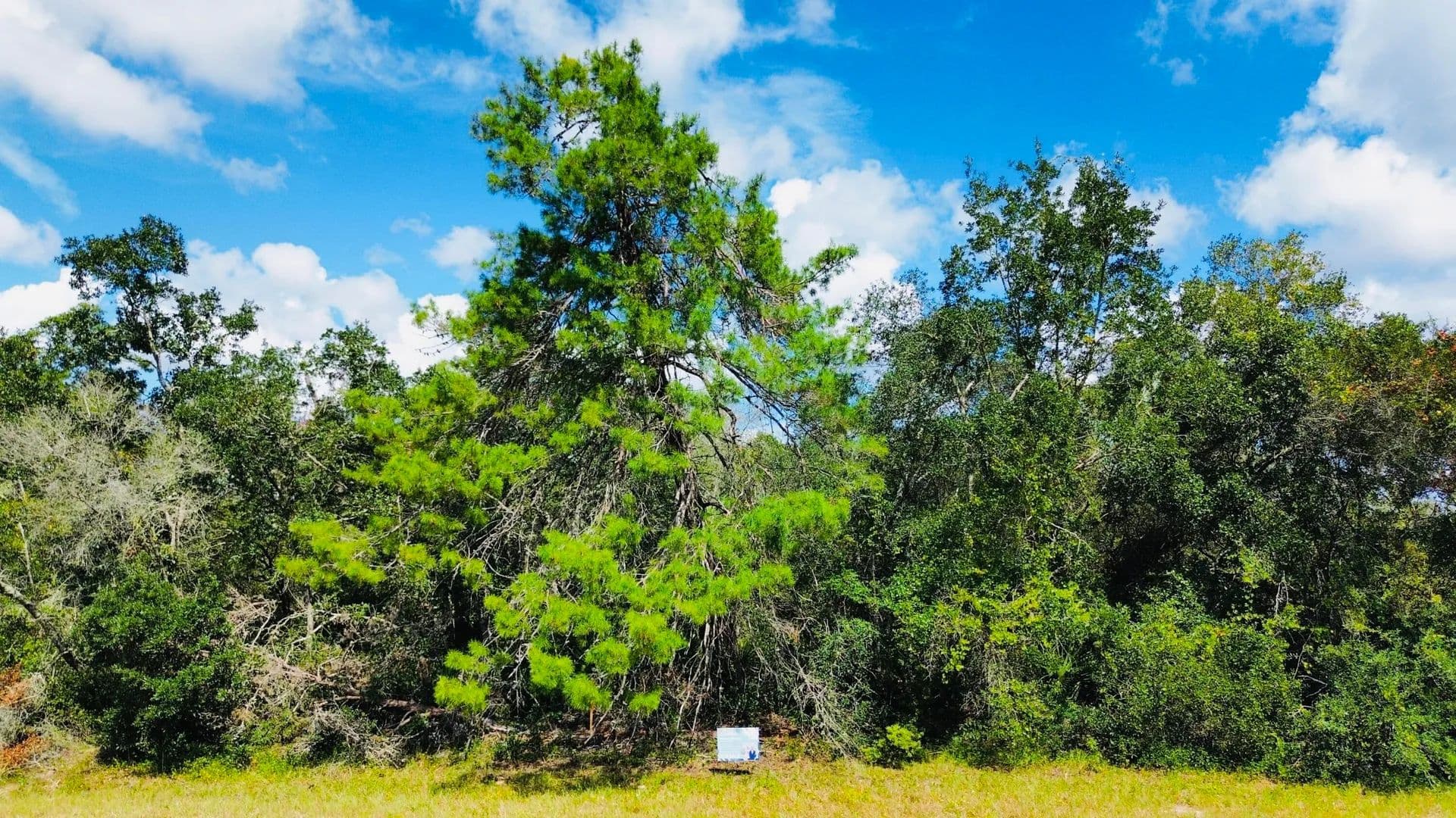 Lots & Land-Other in Ocala - Ocala, Florida, 34473