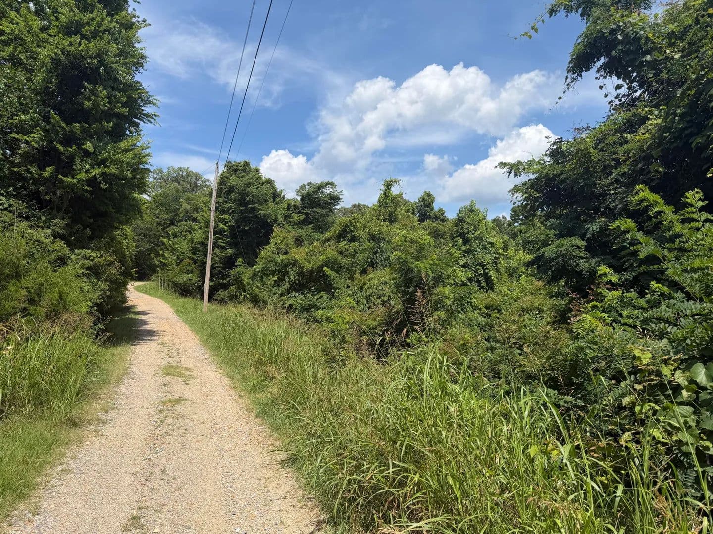 Property from 301 N Fairview Dr. - KW - Vicksburg, Mississippi, 39180