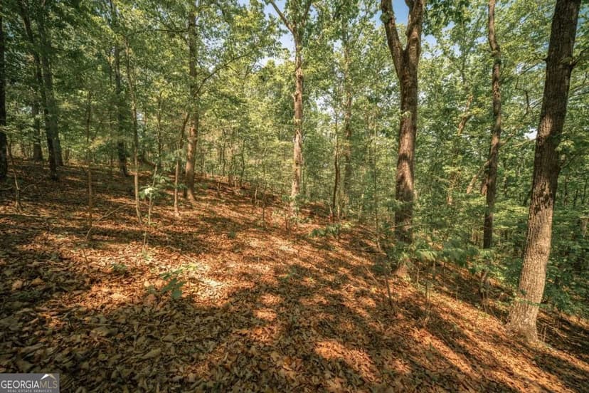 Property from 0 Hancock Mountain Trl - KW