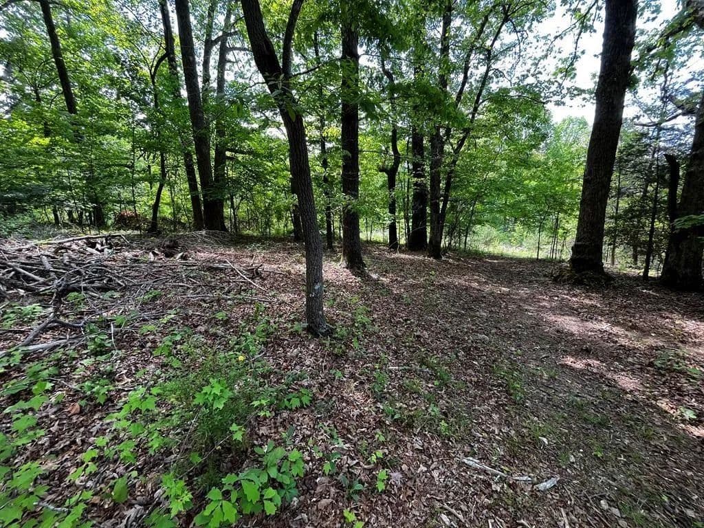 Vacant Land in Cana - Cana, Virginia, 24317