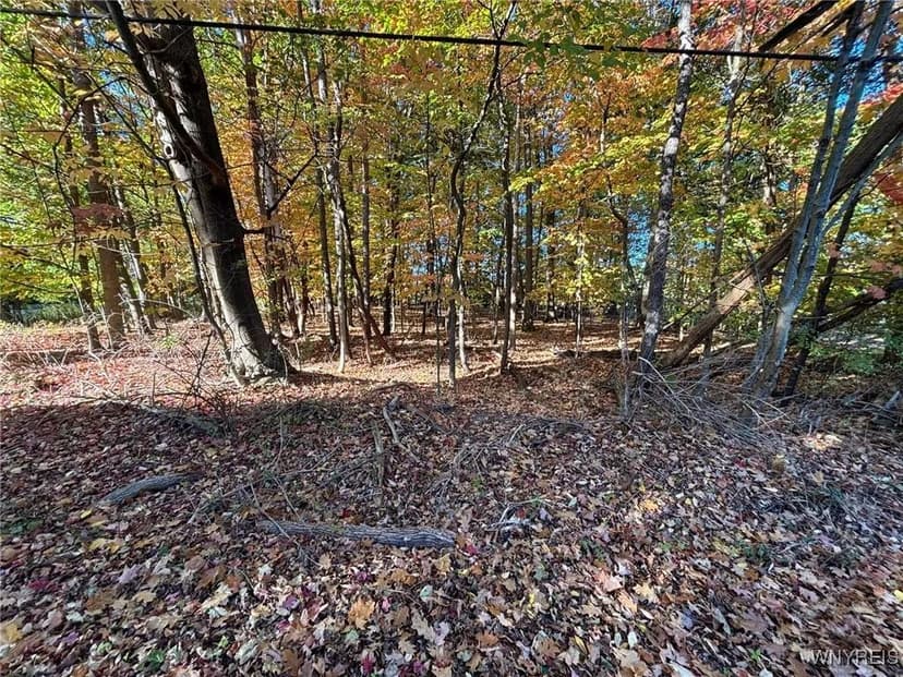Property from 0 Stainton Drive - KW
