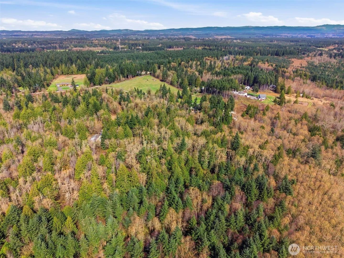 Land -Single Family Acreage in Napavine - land for sale