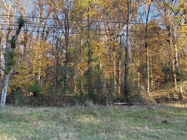Residential Build Site - Horn Lake, Mississippi, 38637