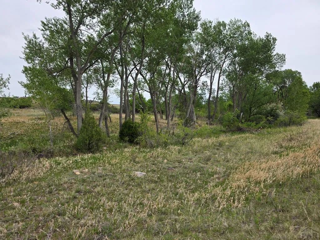 Property from Lot 148 Leland Heights - KW - Colorado City, Colorado, 81019