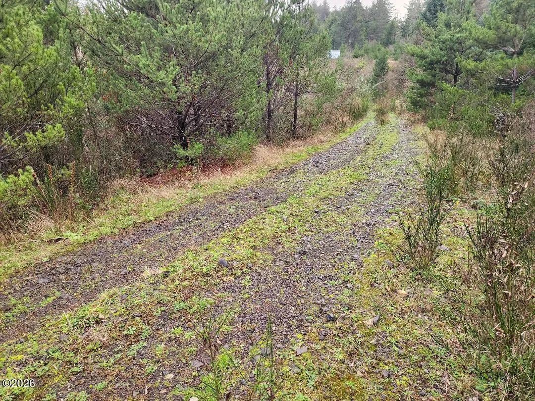 Lots & Land-Other in Waldport - Waldport, Oregon, 97394