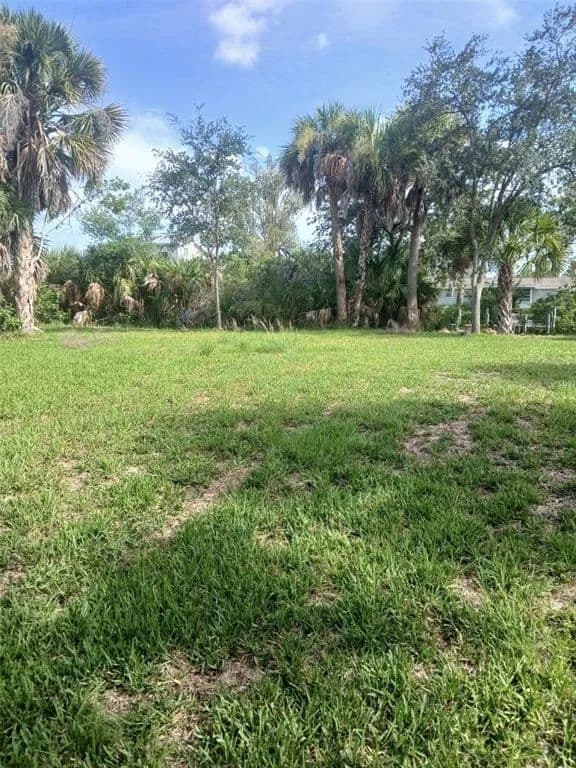 Vacant Land in Venice - Venice, Florida, 34293
