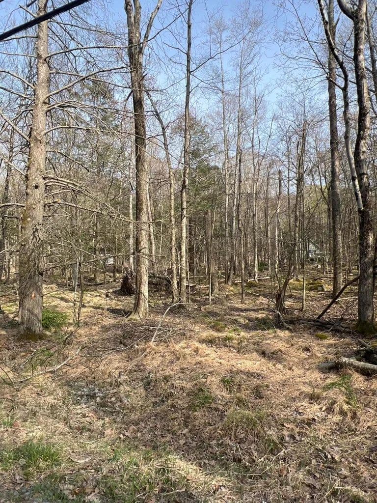 Vacant Land in Pocono Lake