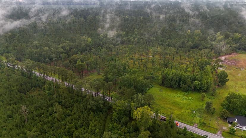 Vacant Land in Ridgeville