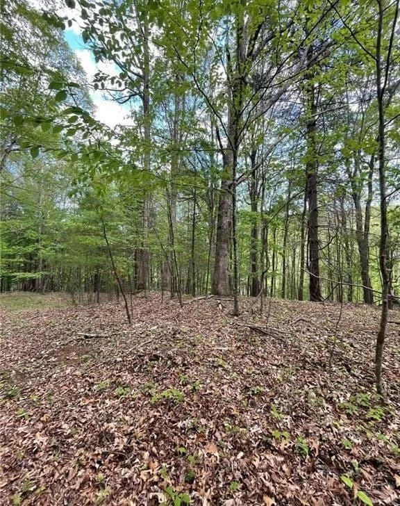 Property from TBD Edwin Blevins Road - KW - Jefferson, North Carolina, 28640