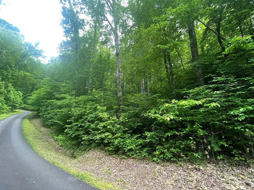Property from Lot 18 Skyview At Wildlife Acres - KW