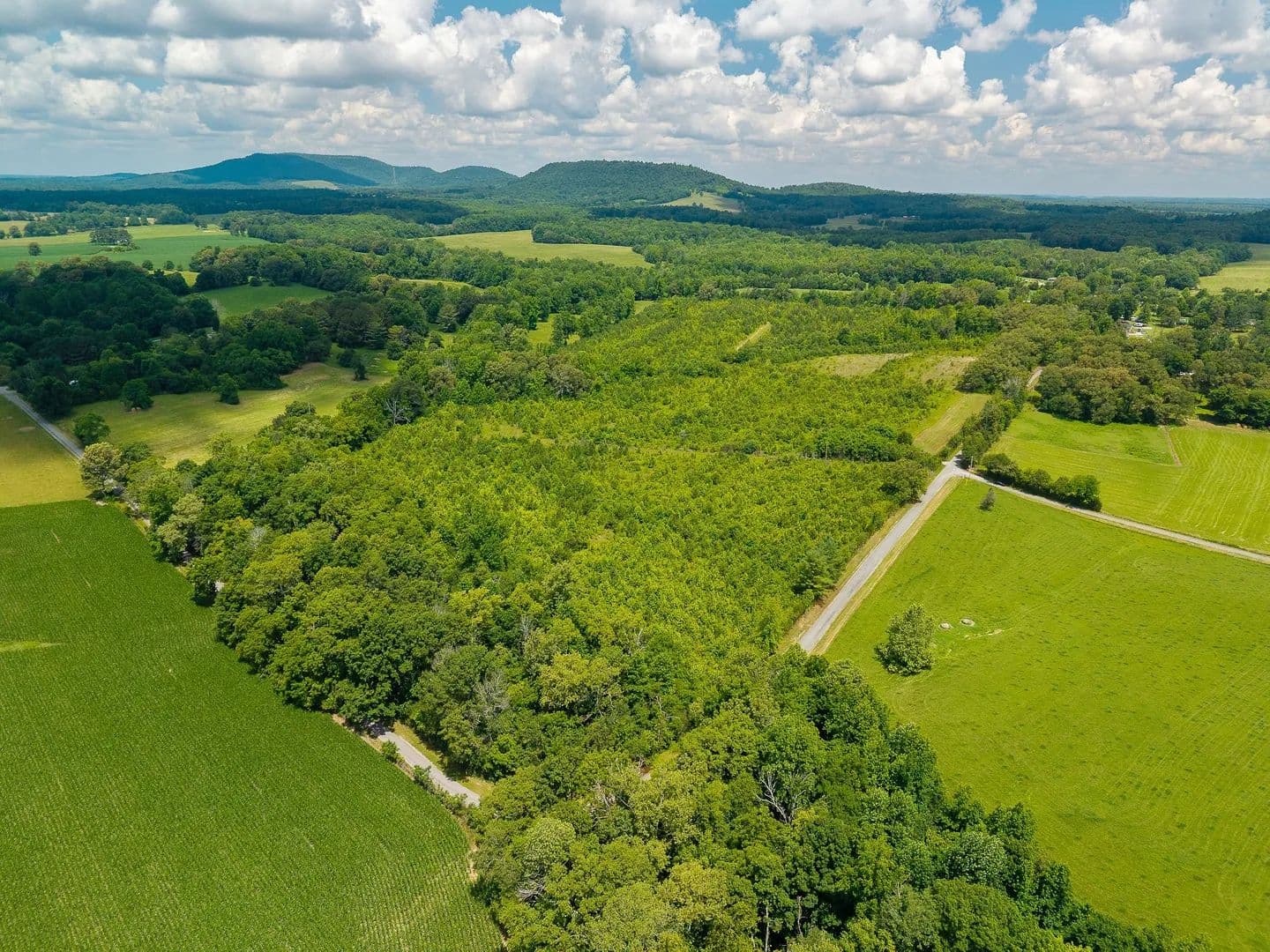 80.98 Acres of Land for Sale in McMinnville, TN - McMinnville, Tennessee, 37110