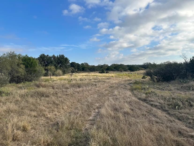 707± acre property in the heart of McCulloch County