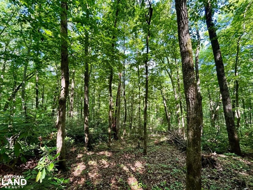 Grand Country Estates Lot 34