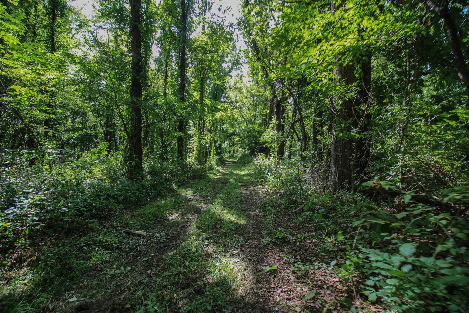 Vacant Land in Three Rivers - Three Rivers, Michigan, 49093