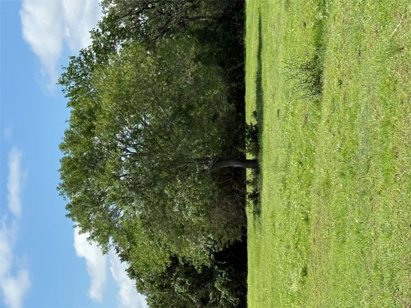 13.56 Acres of Land for Sale in Smithville, Texas - Smithville, Texas, 78957