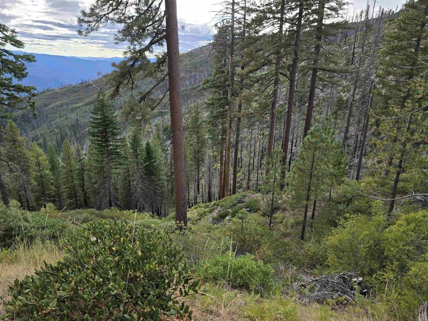 Lots & Land-Other in Seiad Valley - Seiad Valley, California, 960640000