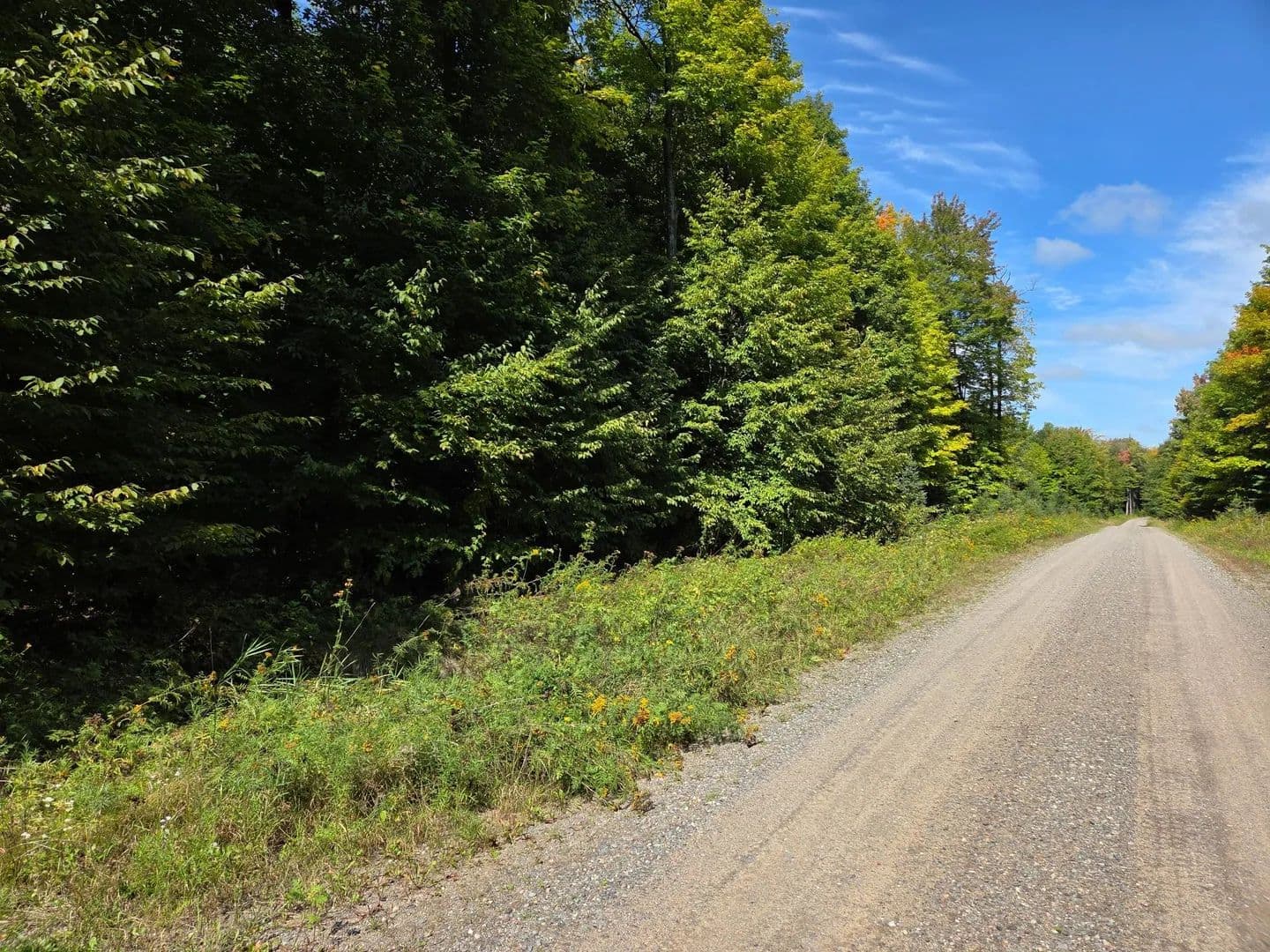 Vacant Land (10+ Acres) in Iron River - Iron River, Michigan, 49935