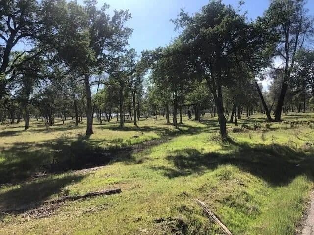 Vacant Land (0-10 Acres) in Anderson - Anderson, California, 96007