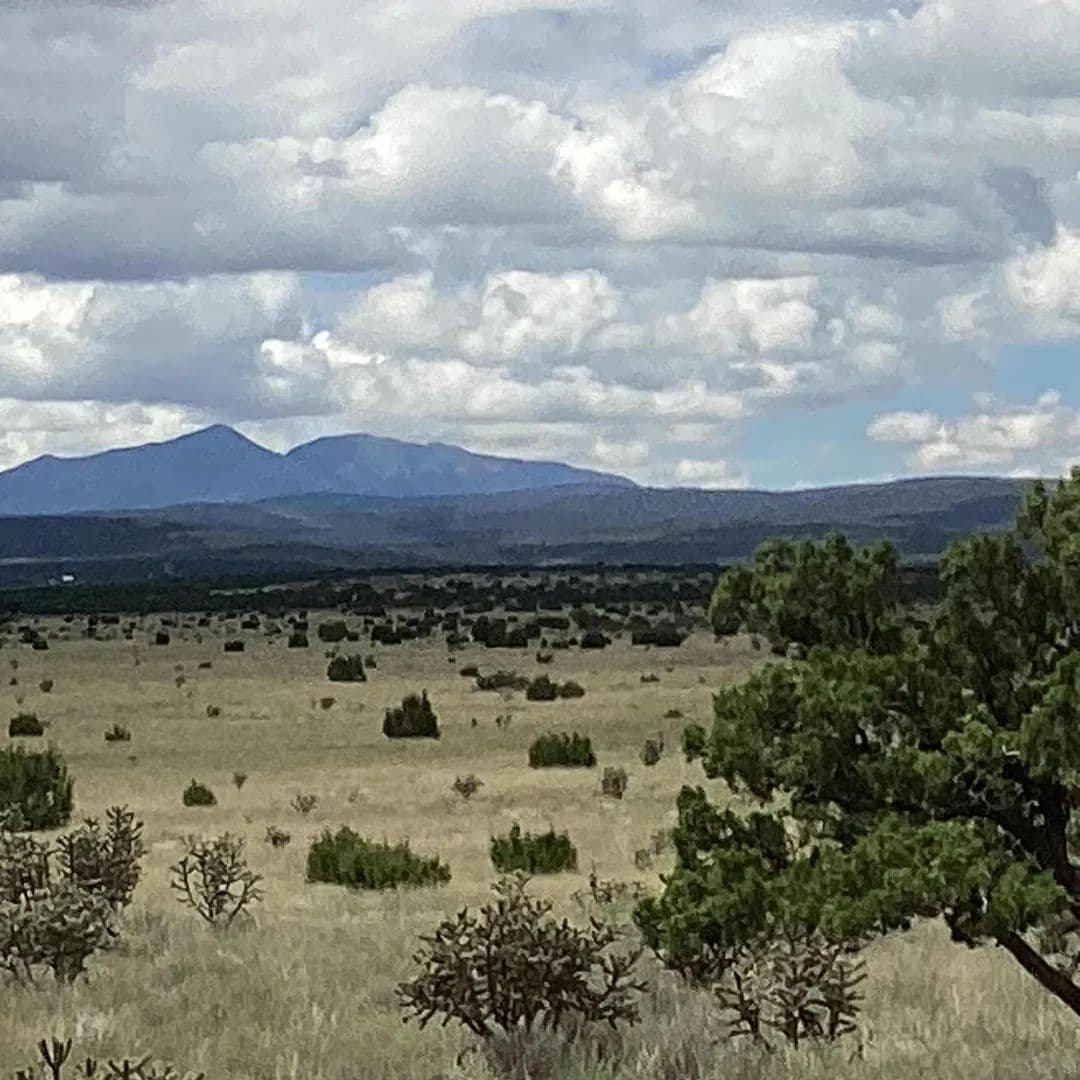 Property from County Road A052 - KW - Estancia, New Mexico, 87016