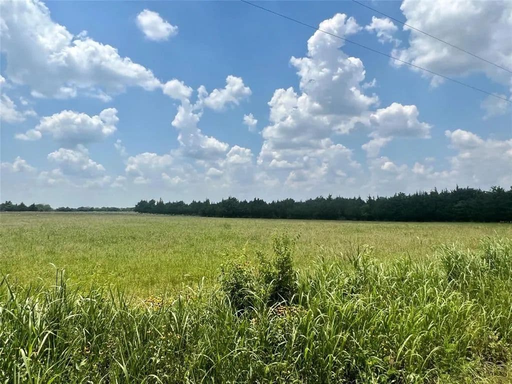 Vacant Land in Blossom - Blossom, Texas, 75416