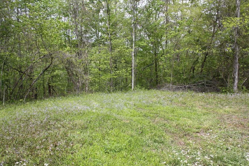 Land -Single Family Acreage in Whitley City