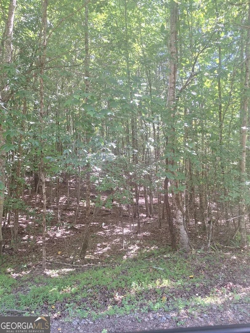 Lots & Land-Other in MORGANTON - Morganton, Georgia, 30560