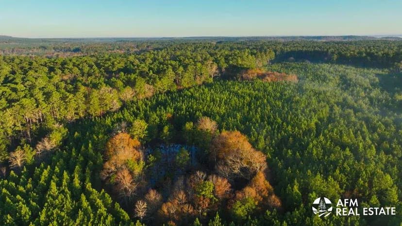 Alpine Wood - Tract A