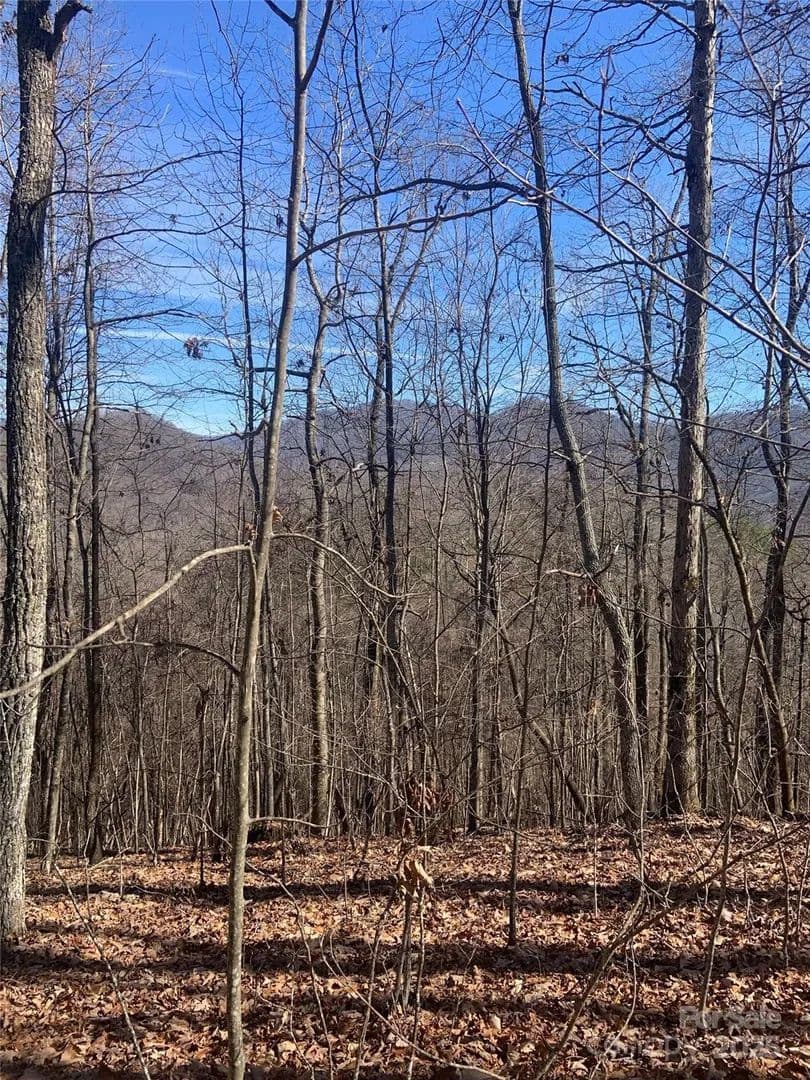 Property from TBD Ashe Branch View #66J - KW