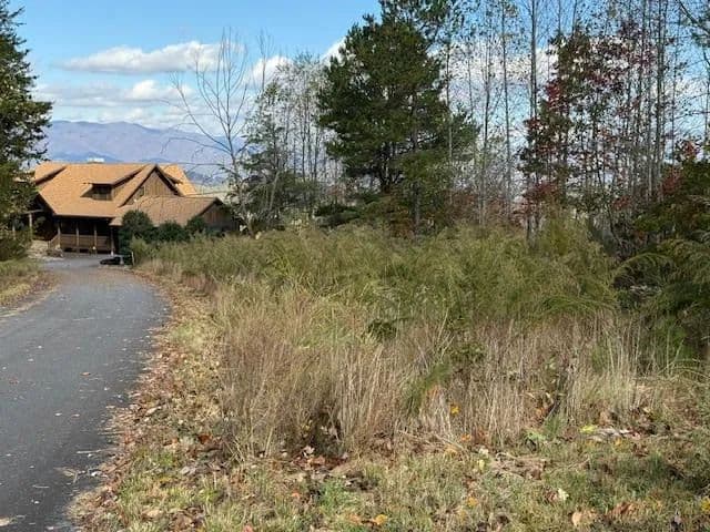 Lots & Land-Other in Young Harris