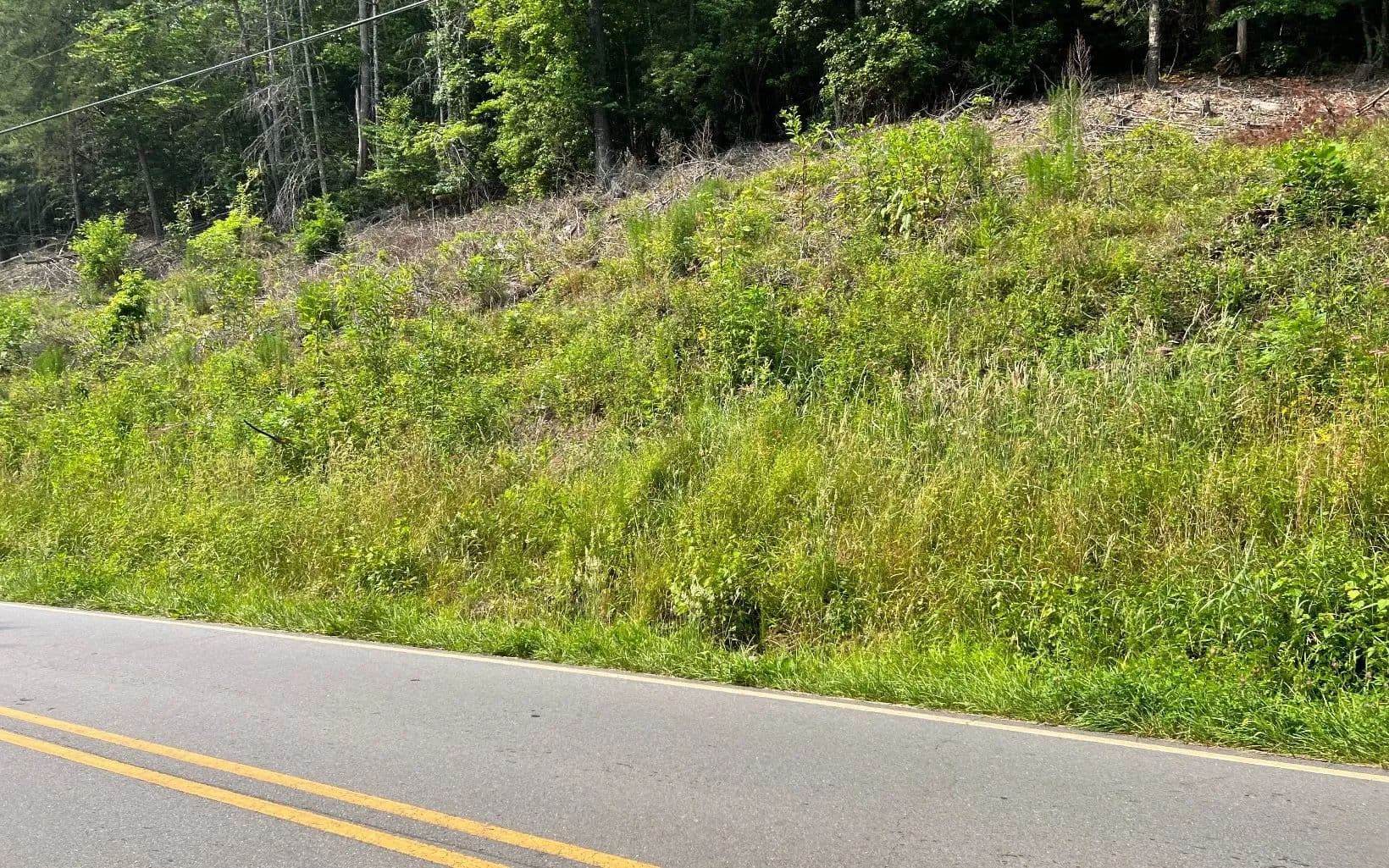Lots & Land-Other in Hayesville - Hayesville, North Carolina, 28904