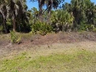 Vacant Land in Punta Gorda - Punta Gorda, Florida, 33955