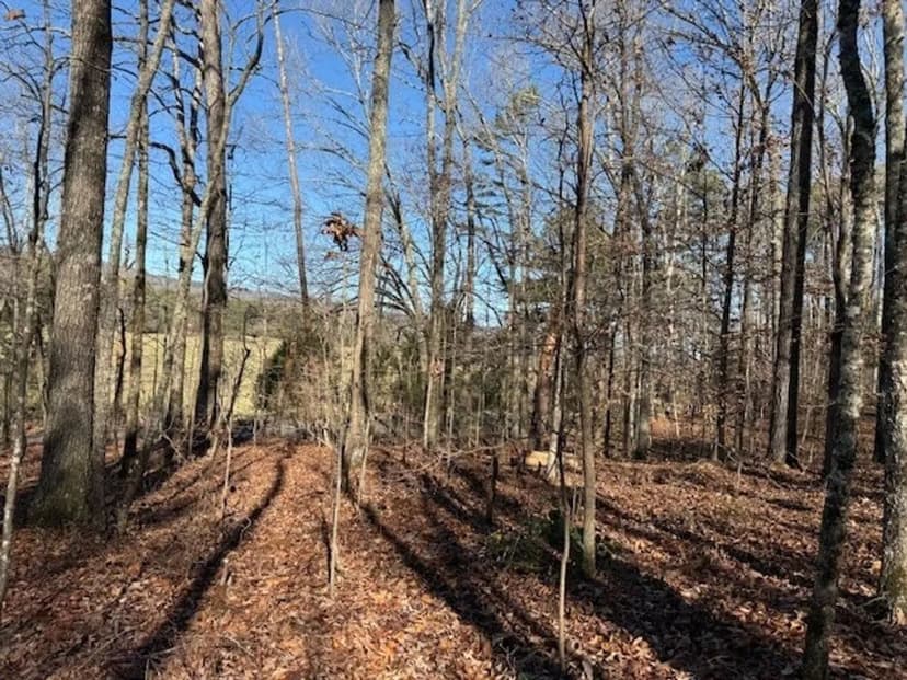 5.1+/-acres unrestricted Wooded Property