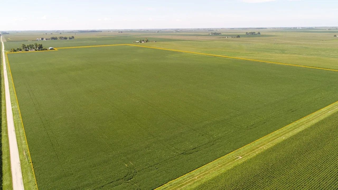 Nussmeyer Farm - Sidney, Illinois, 61877