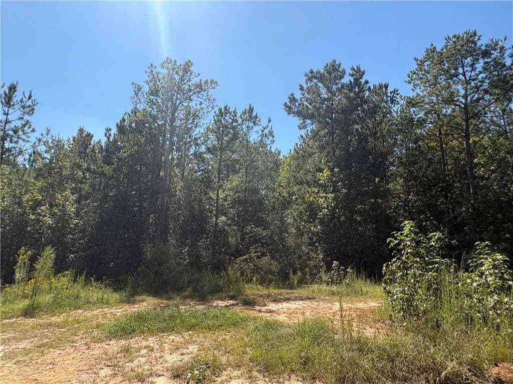 Vacant Land in Notasulga - Notasulga, Alabama, 36866
