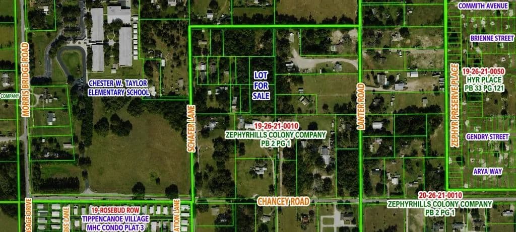 Vacant Land in Zephyrhills - Zephyrhills, Florida, 33542