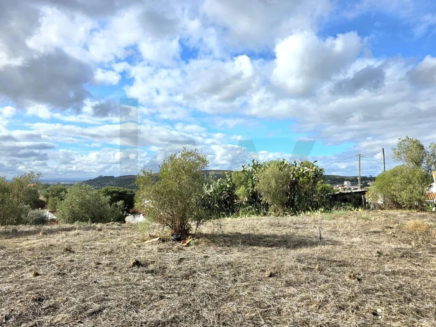 580 Acres of Land for Sale in Carregueira, Chamusca - land for sale