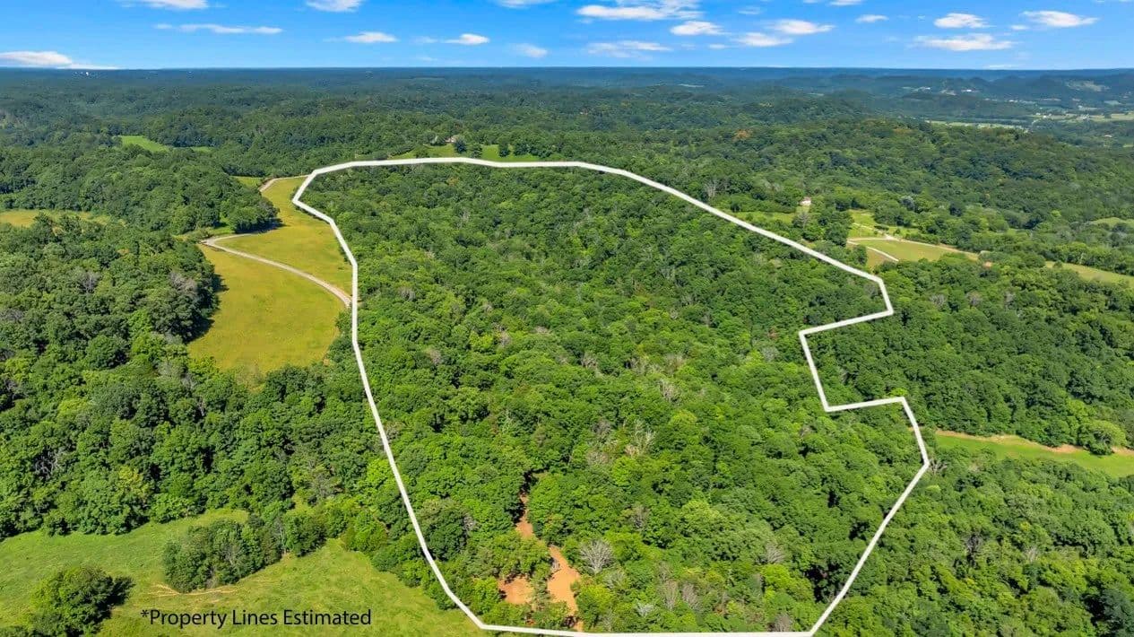 53.08 Acres of Land for Sale in Bethpage, TN - Bethpage, Tennessee, 37022
